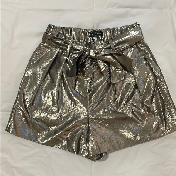 Zara Pants - Metallic Dressy Women's Shorts